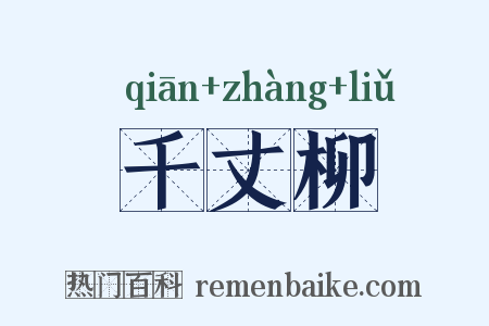 千丈柳是什么意思的图片